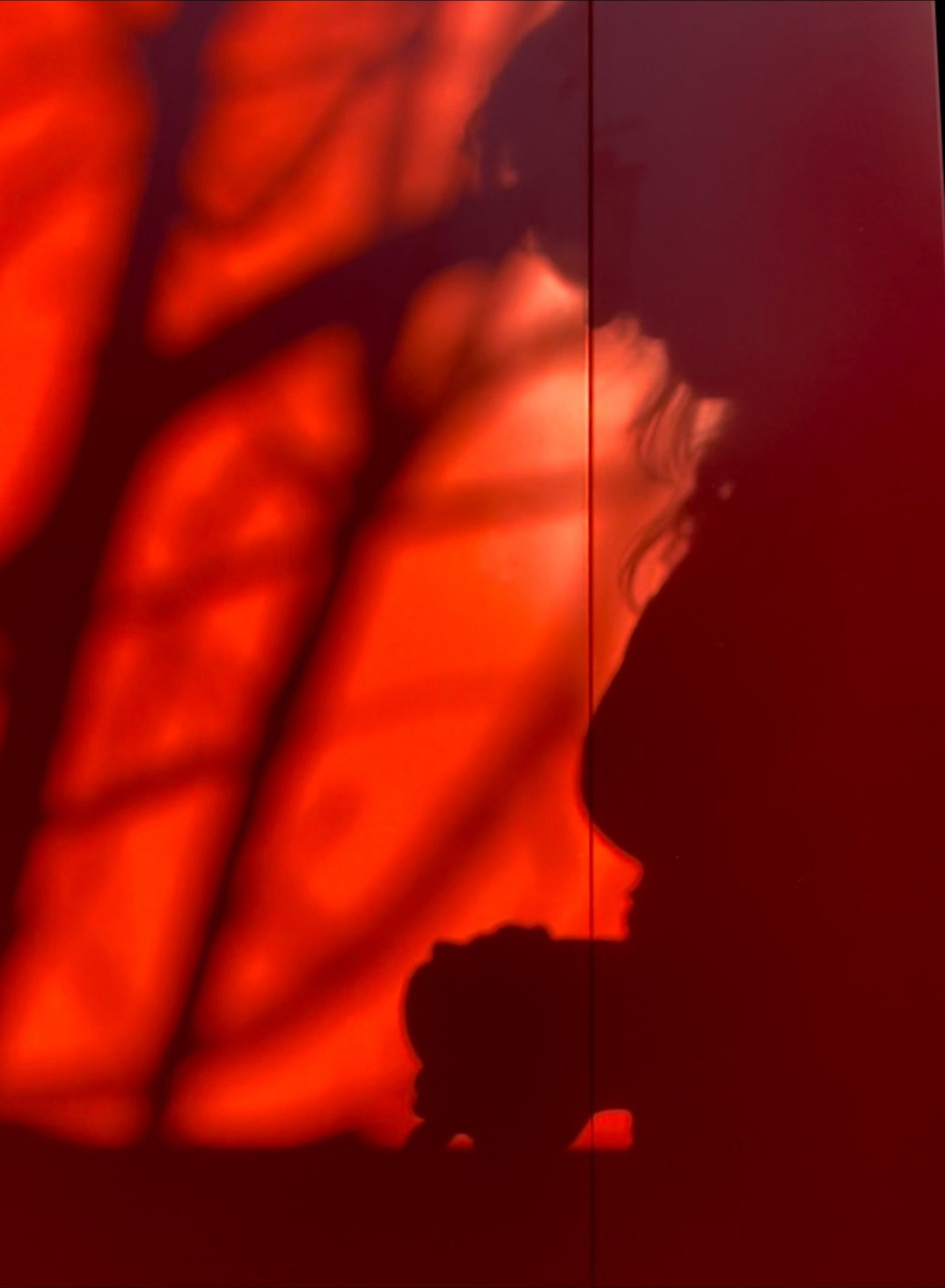 This Morning I Was Gathering Daffodils, further work. A profile in window shadow on a red wall.