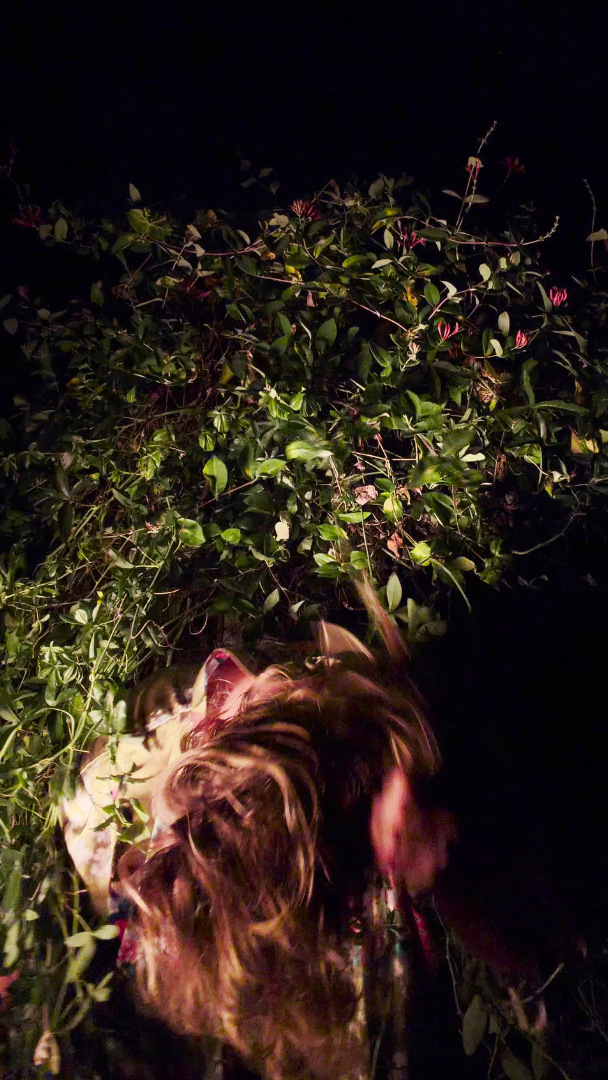 Fear Not, further work. Hair whipping through the lit vines, the face turned away.