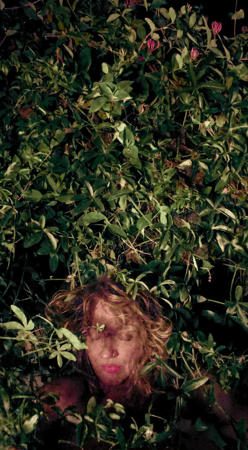 Fear Not, further work. The face nearly lost among lit leaves, eyes closed.