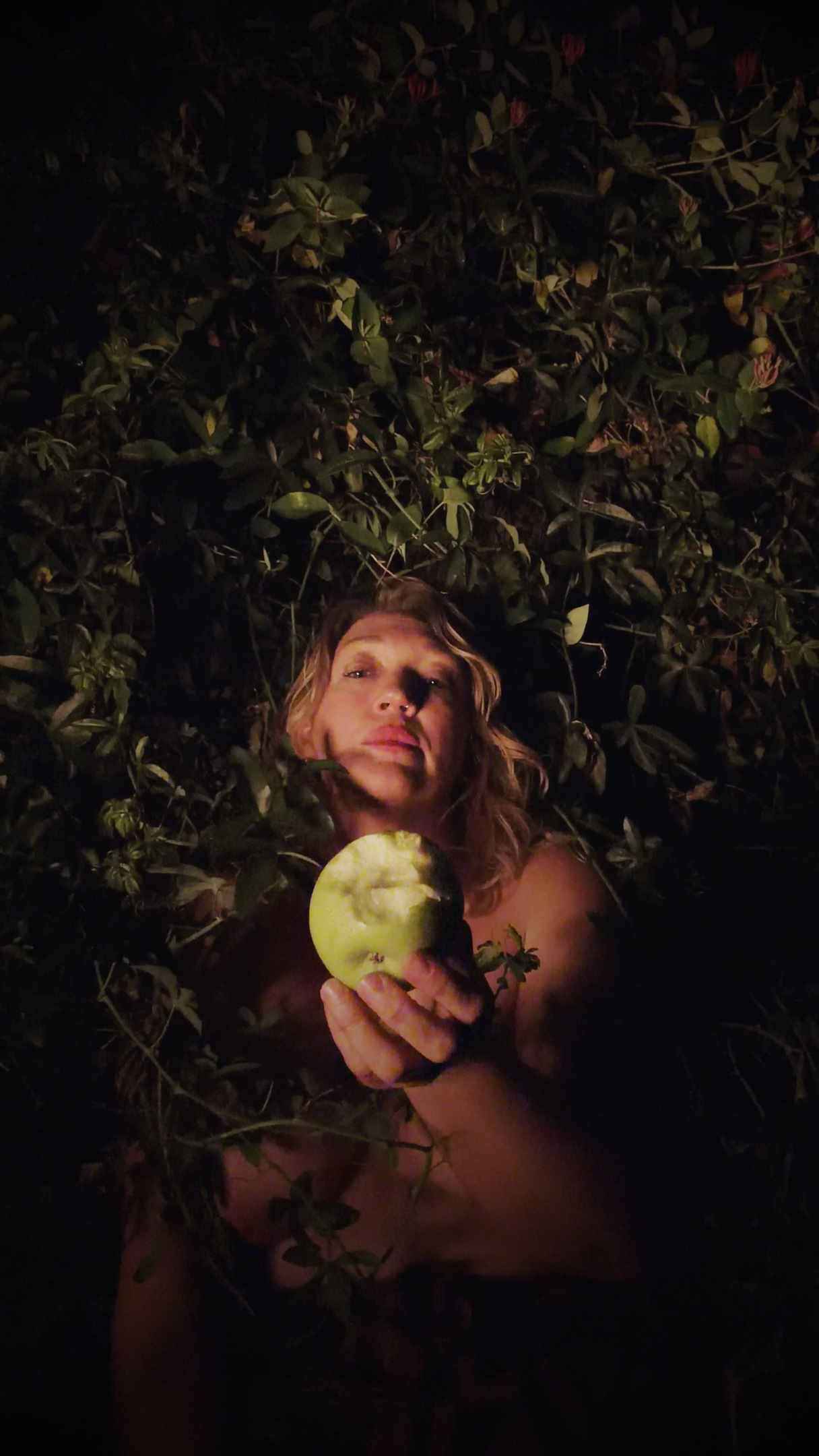 Fear Not, further work. Holding the apple out toward the camera.