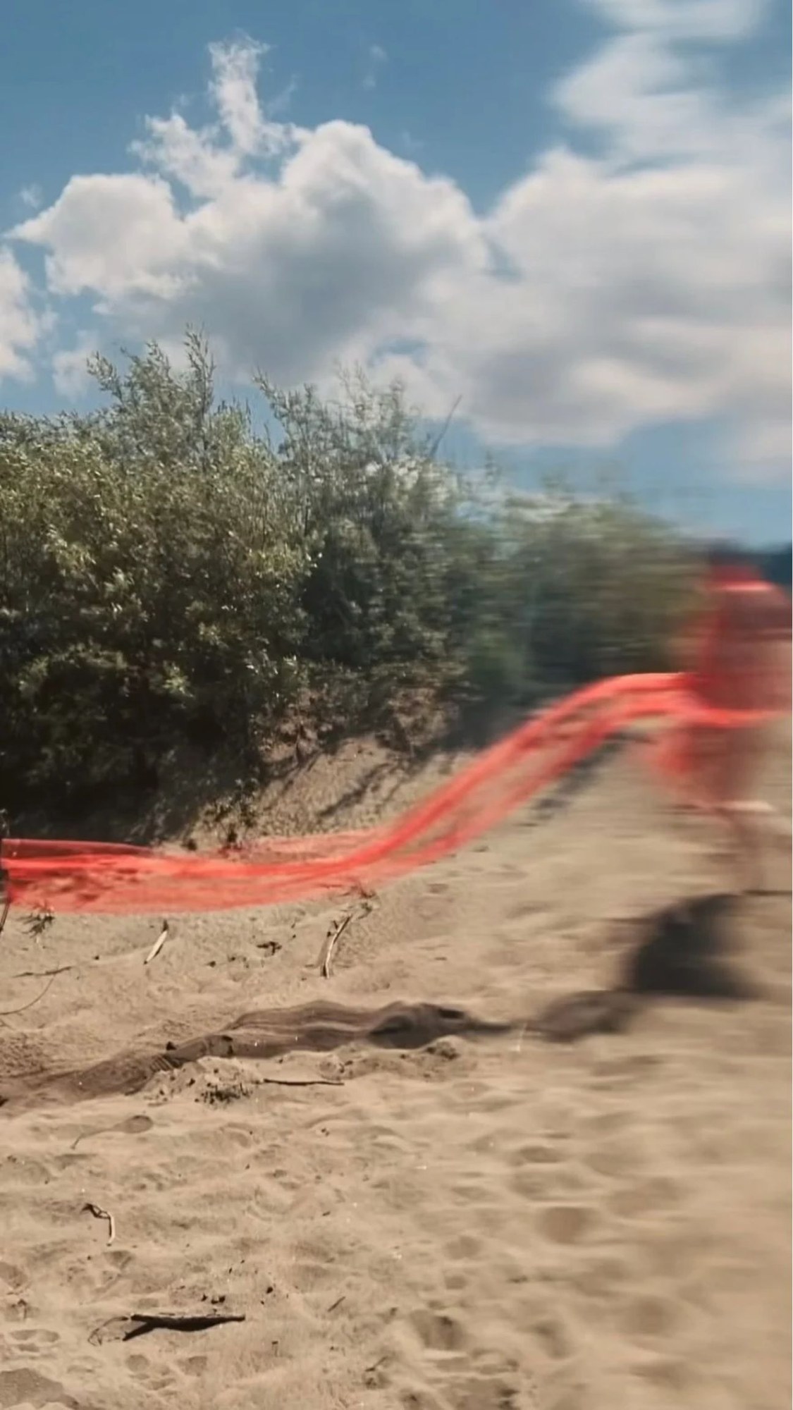 Red Thread, image 10 of 10.