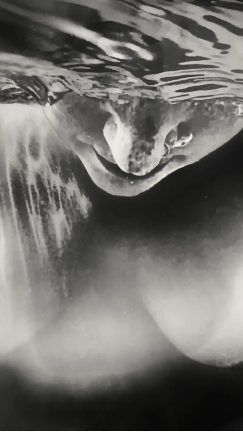 Body of Water, work 4. Provisional image description; final curatorial alt text pending.