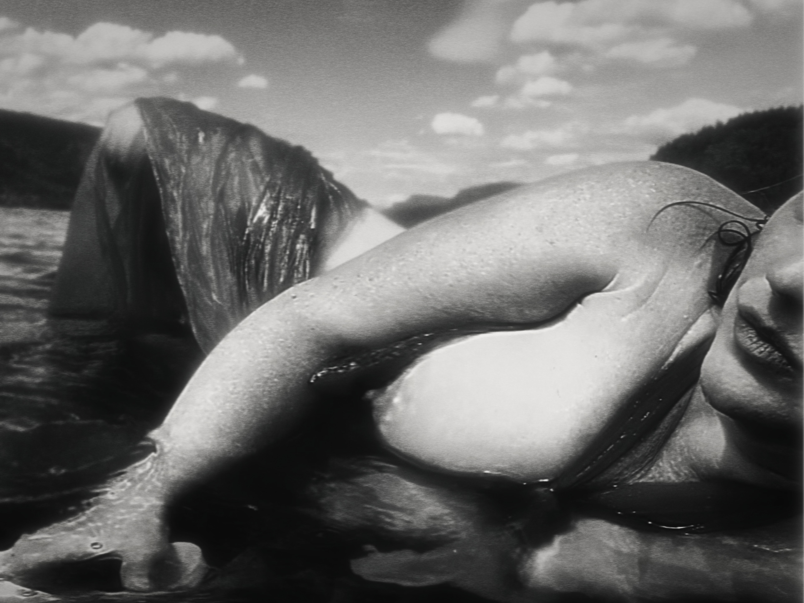 Body of Water, image 1 of 8.