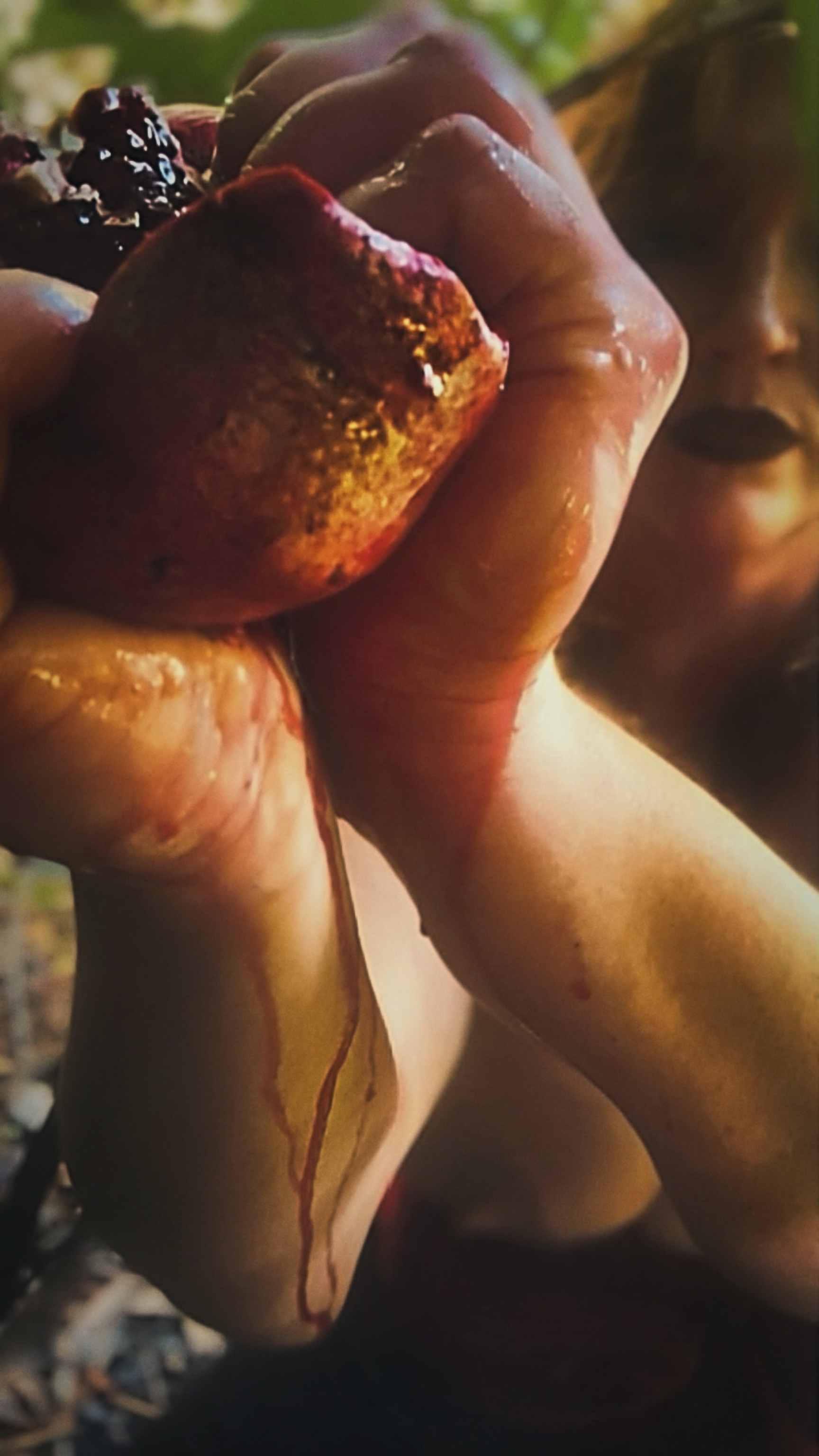This Morning I Was Gathering Daffodils: This Is My Body. Photograph.