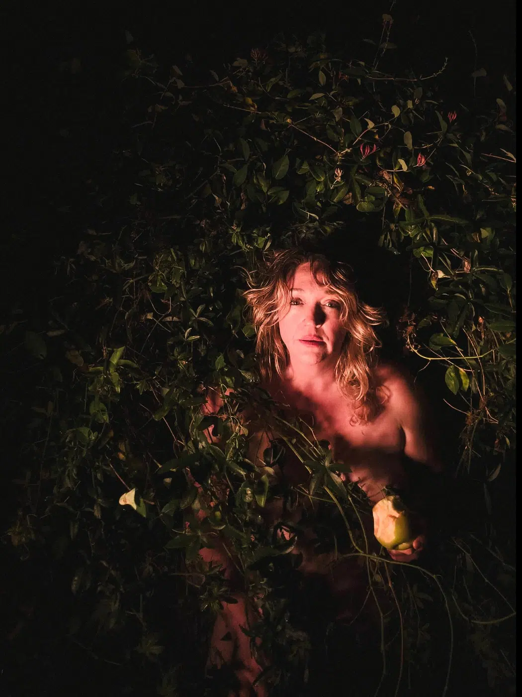 Fear Not, work 2. Provisional image description; final curatorial alt text pending.