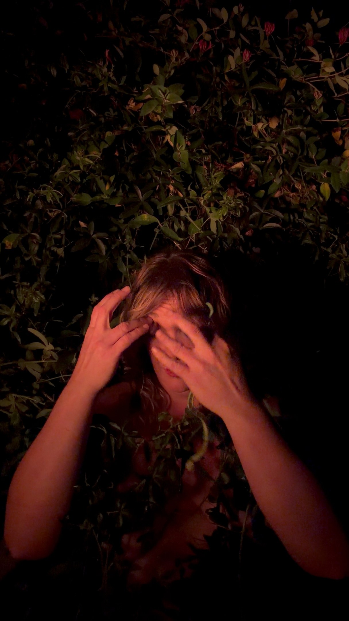 Fear Not, 1 of 6. Standing in dark vines at night, both hands covering the face.