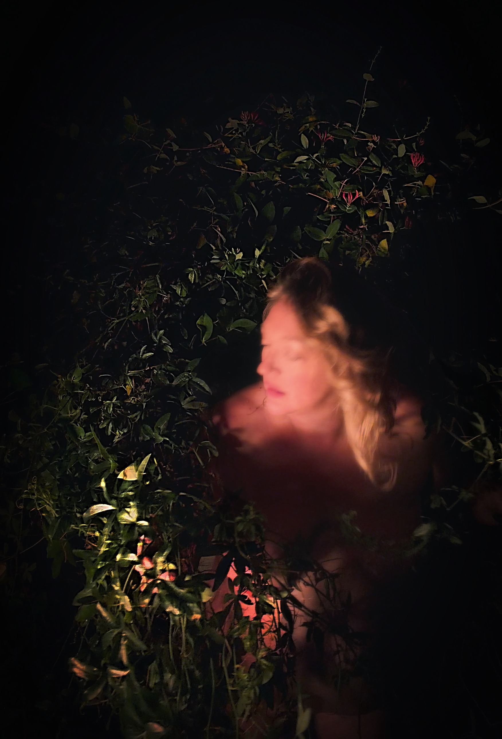 Fear Not, 3 of 6. Deep in the night vines, eyes closed, face and shoulders blurred in warm light, honeysuckle above.
