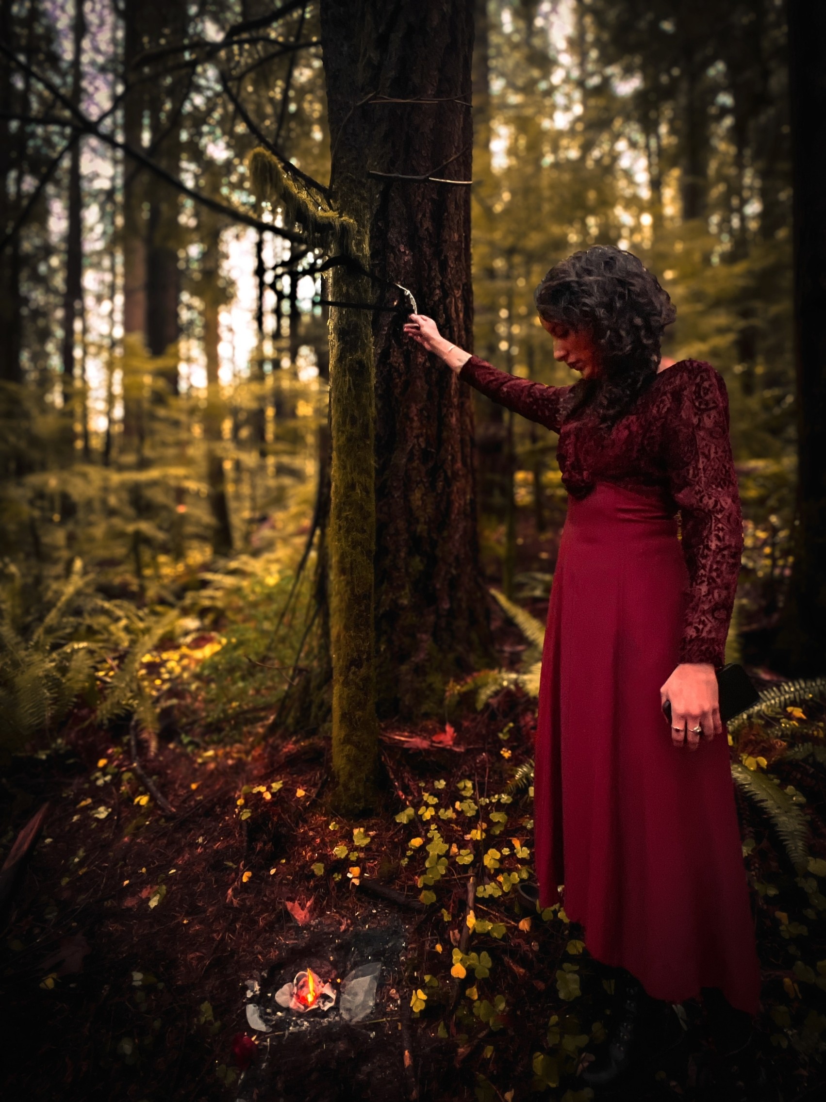 Maria Burns Her Wedding Dress, current edit, image 7.