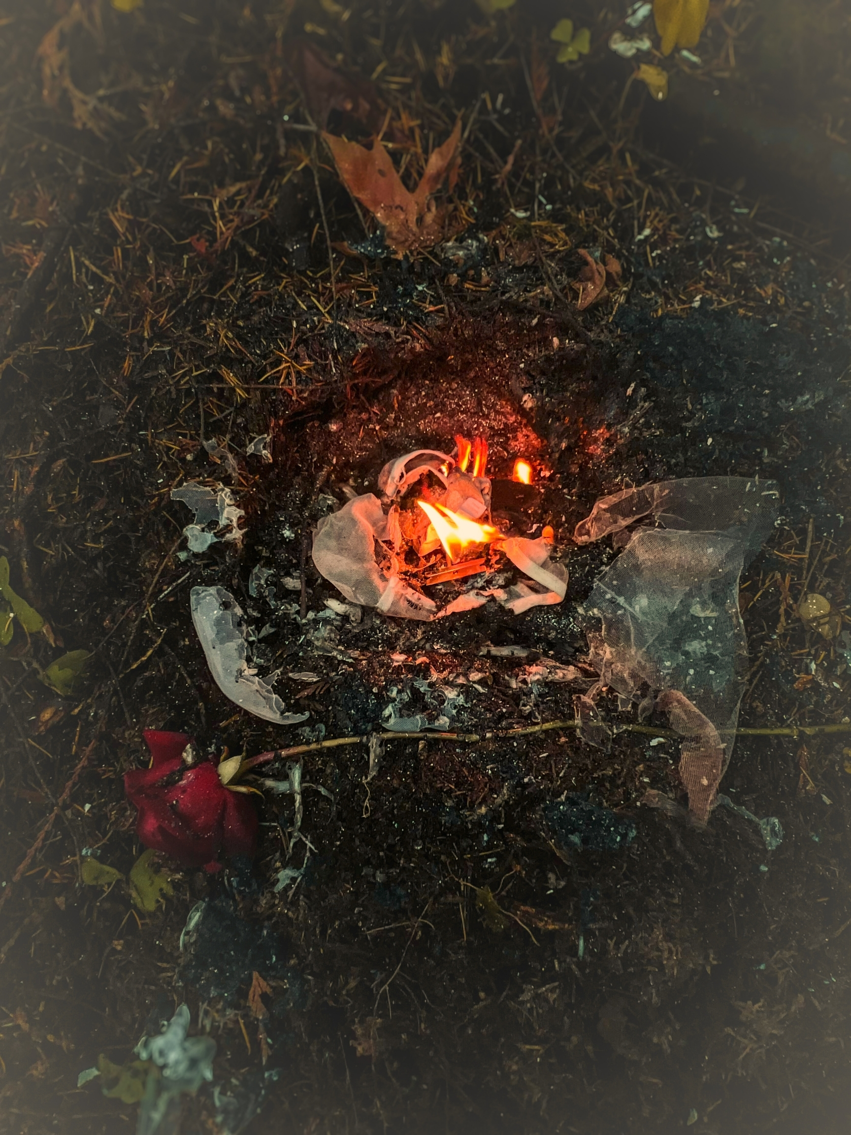 Maria Burns Her Wedding Dress, current edit, image 8.