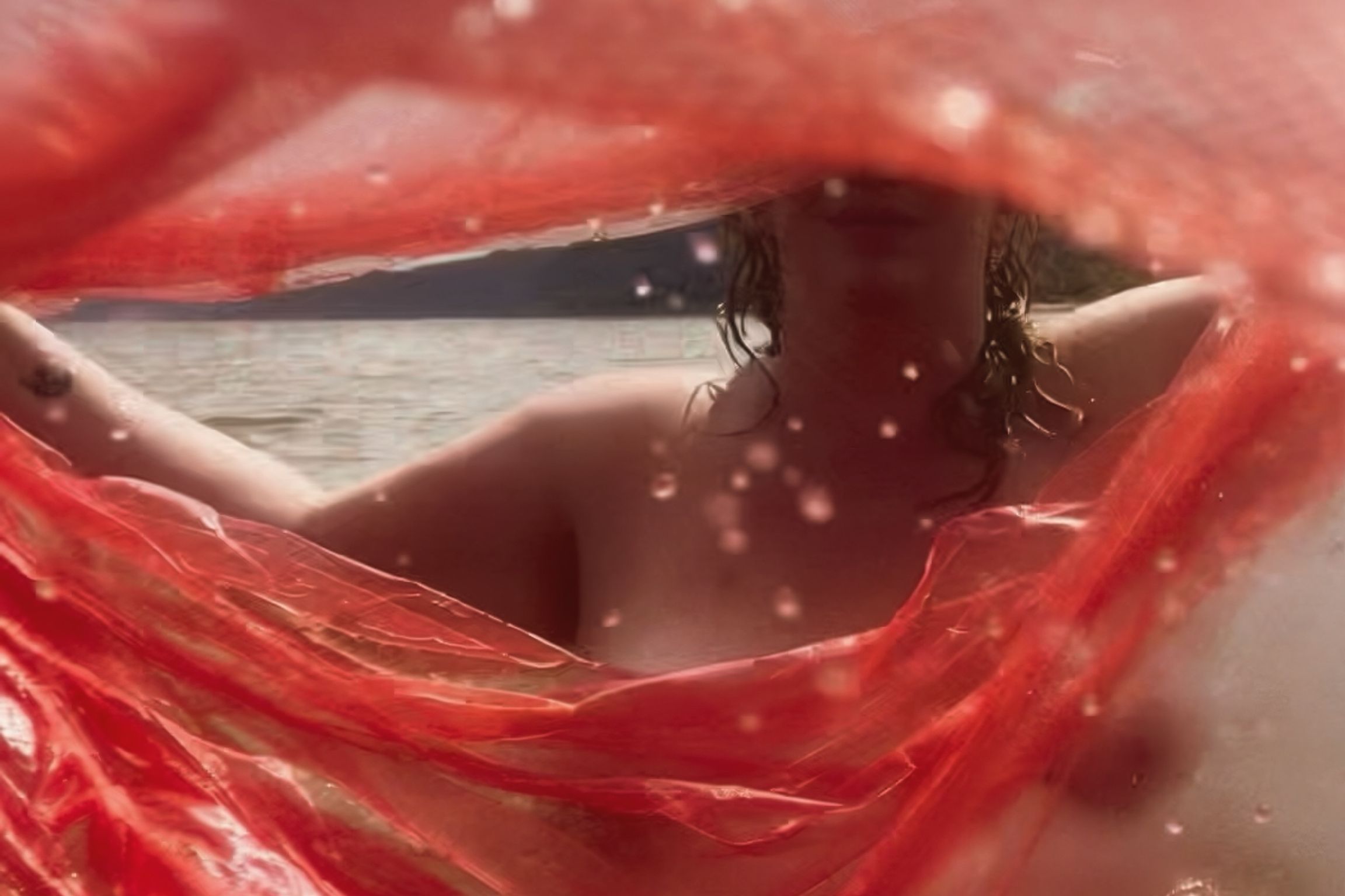 Membrane, image 4 of 6.