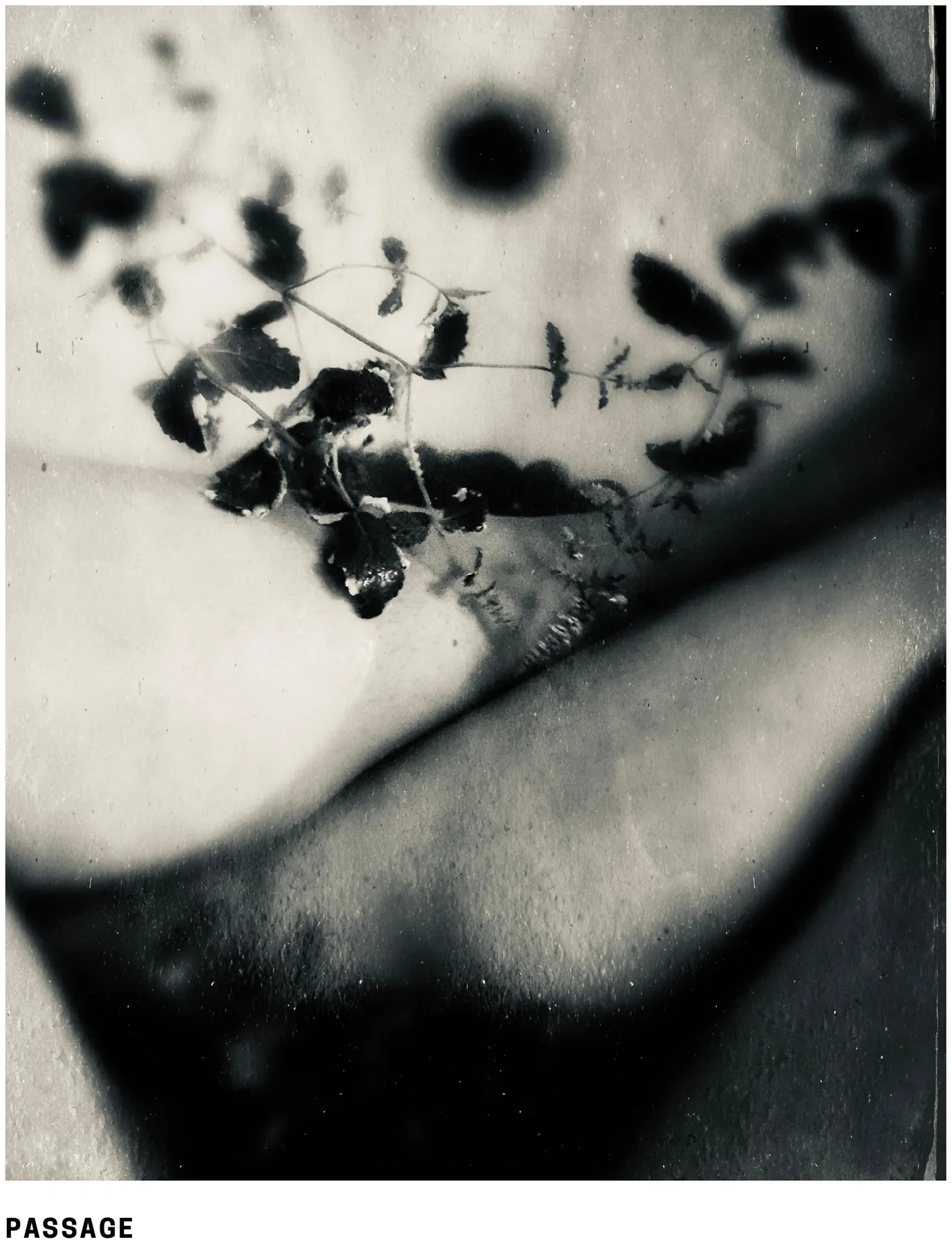 A Miscarriage, work 5. Provisional image description; final curatorial alt text pending.