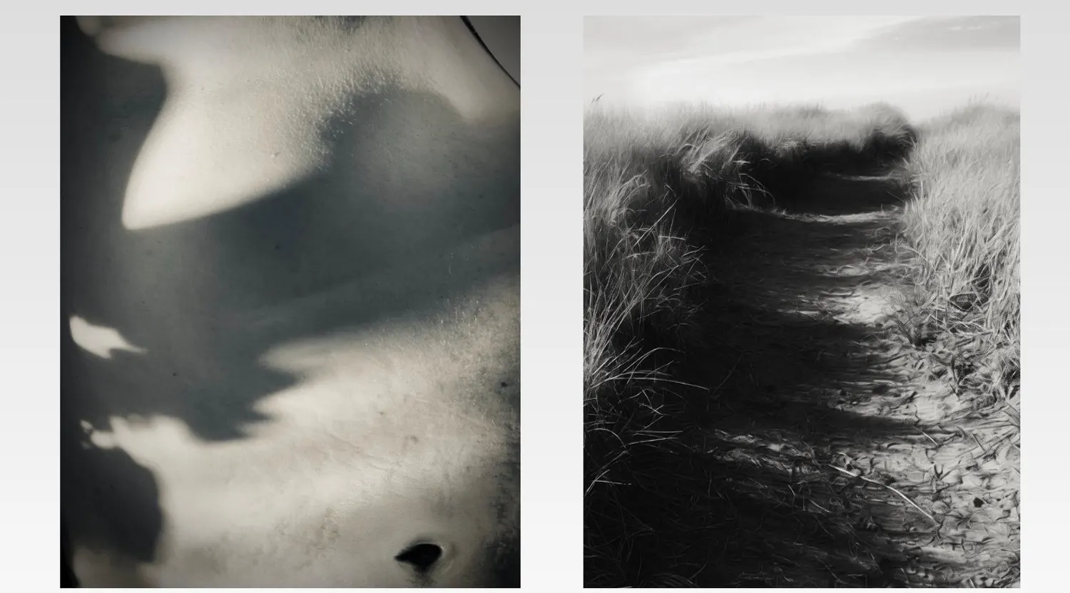 Relative, work 2. Provisional image description; final curatorial alt text pending.