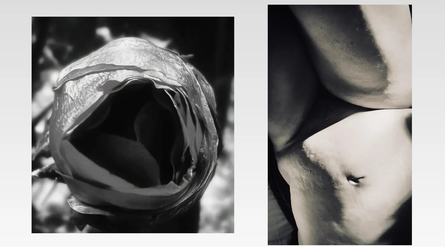 Relative, work 3. Provisional image description; final curatorial alt text pending.