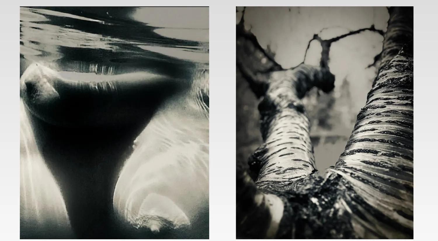 Relative, work 4. Provisional image description; final curatorial alt text pending.