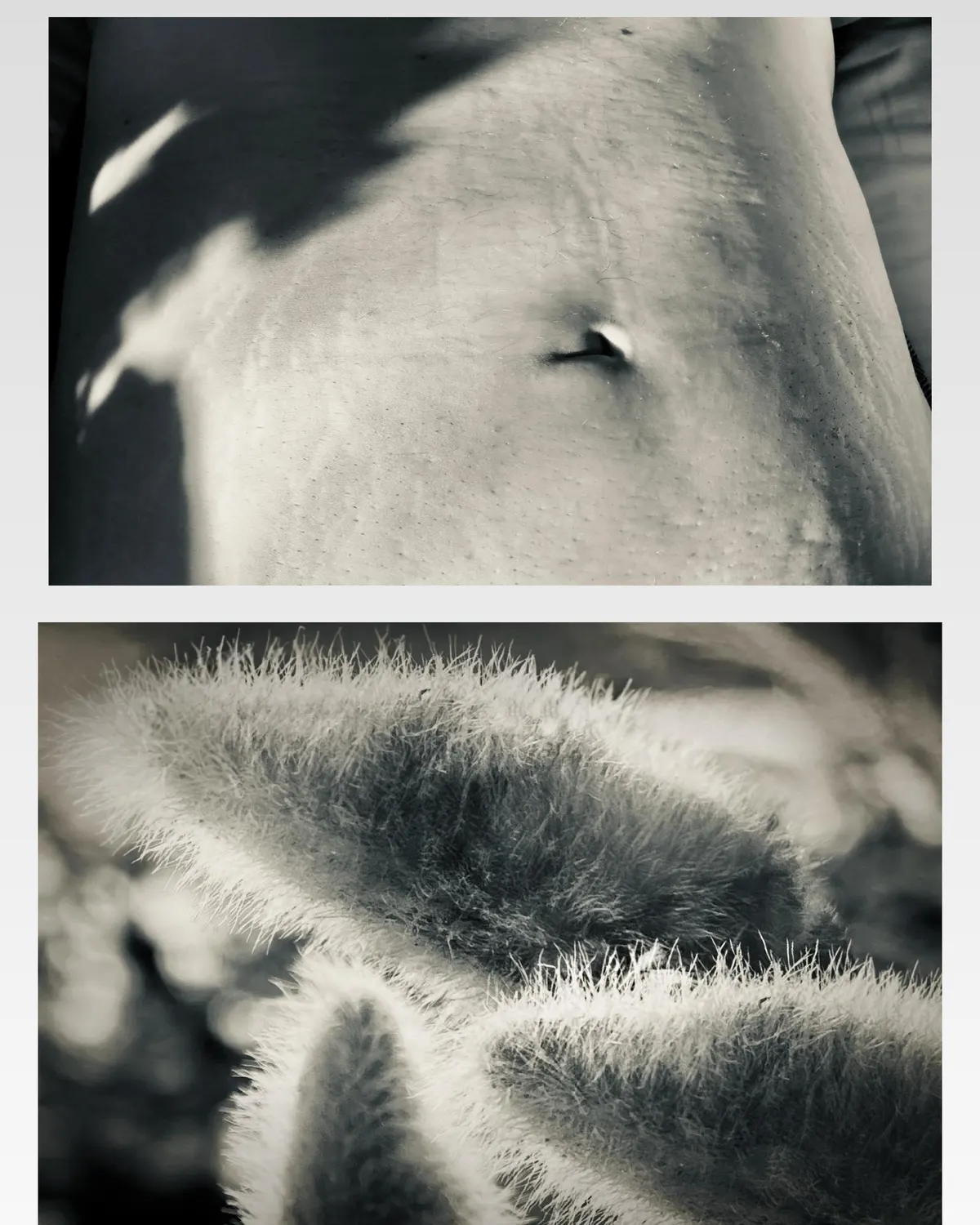 Relative, work 6. Provisional image description; final curatorial alt text pending.
