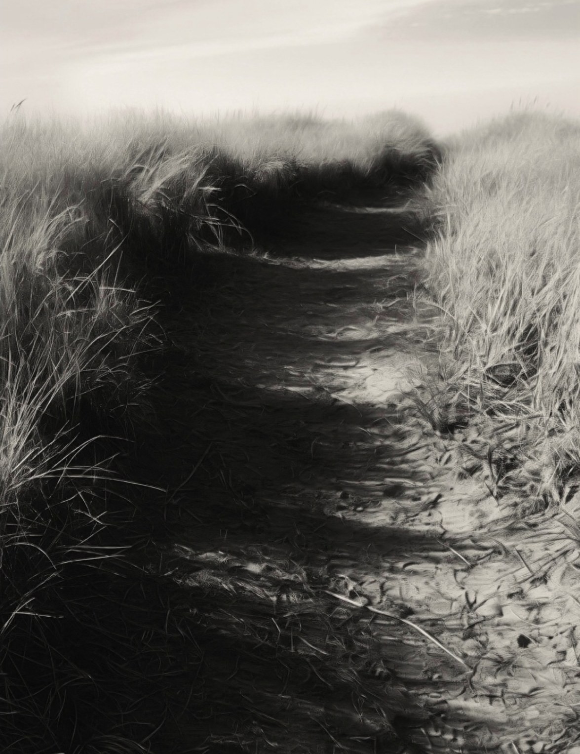Relative: Wind. The land.
