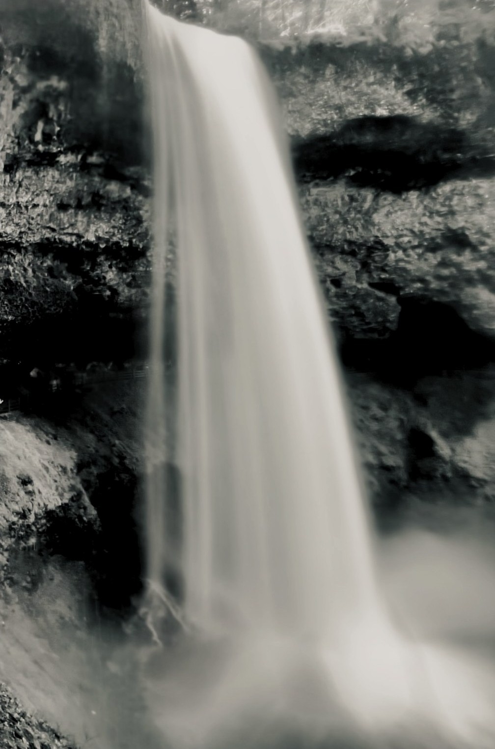 Relative: Gravity. The land.
