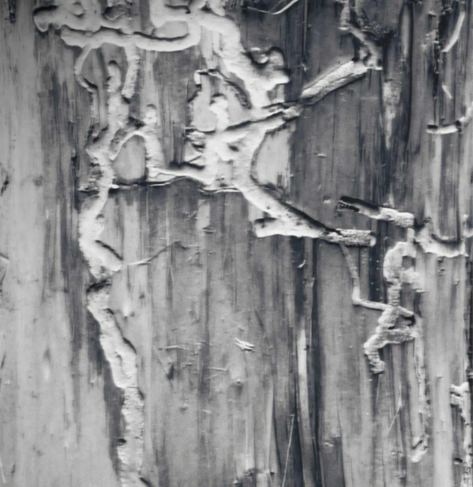 Relative: Striation. The land.