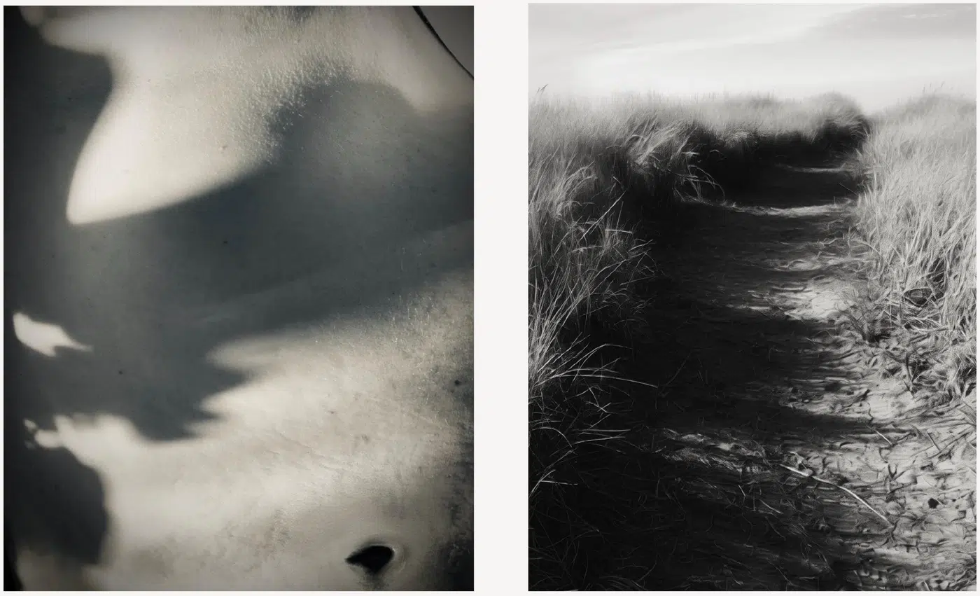 Selected Works, work 2. Provisional image description; final curatorial alt text pending.