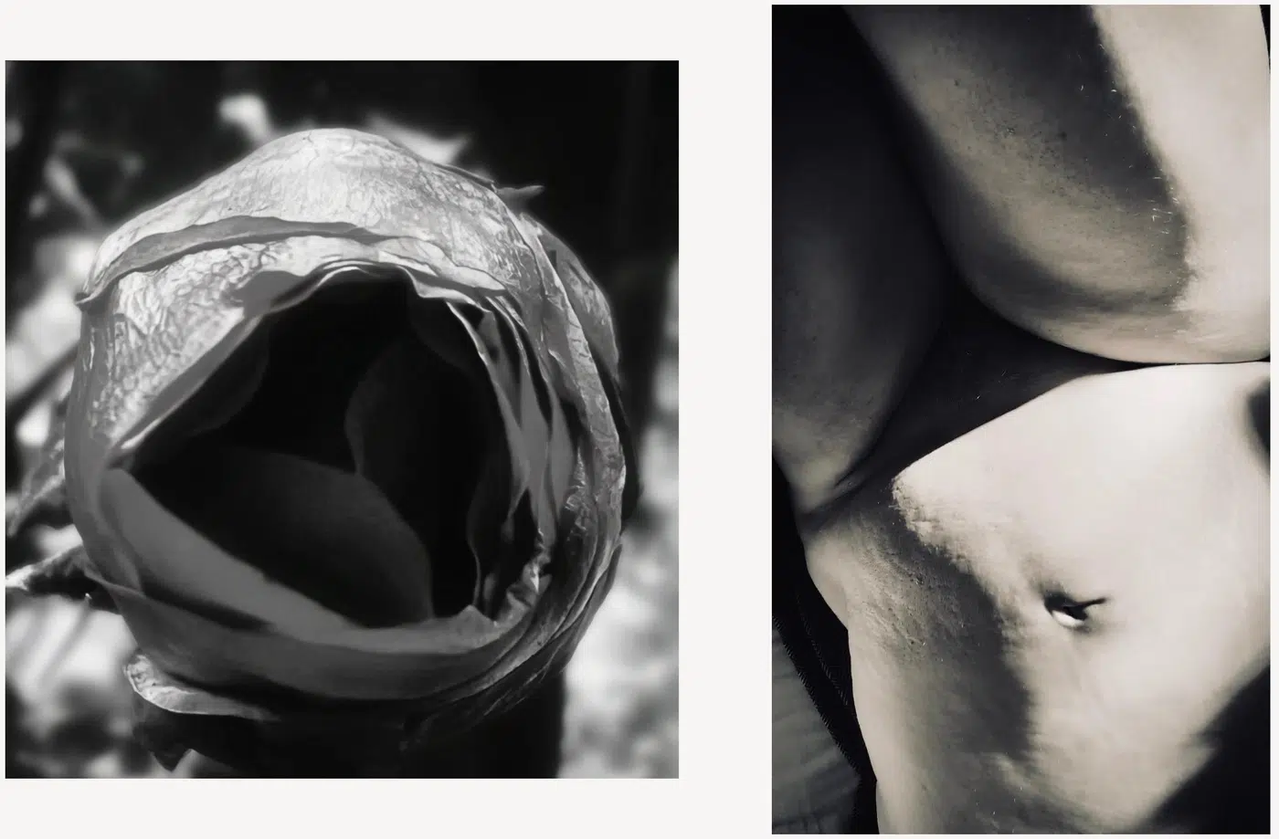 Selected Works, work 3. Provisional image description; final curatorial alt text pending.