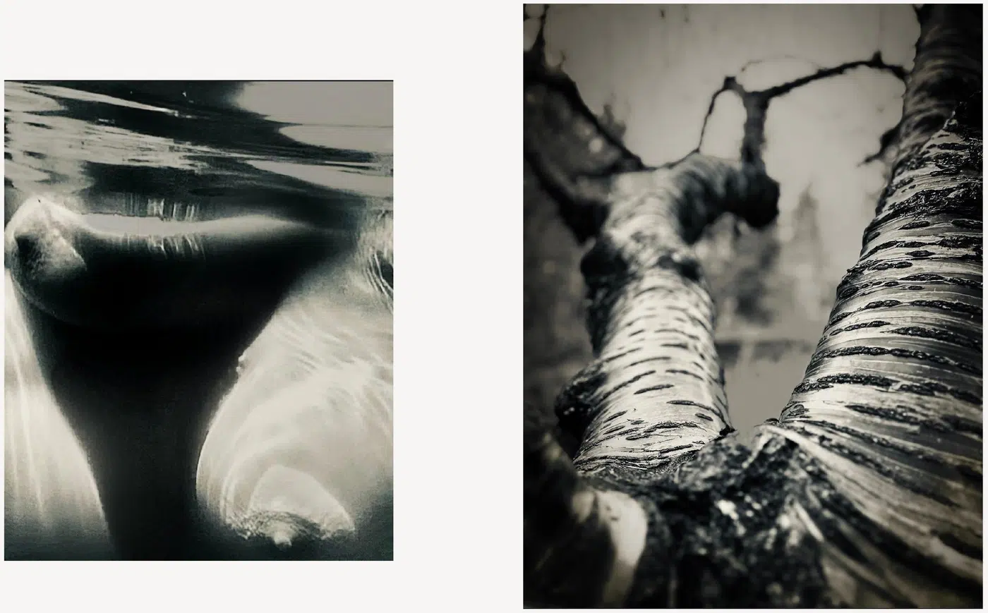 Selected Works, work 4. Provisional image description; final curatorial alt text pending.