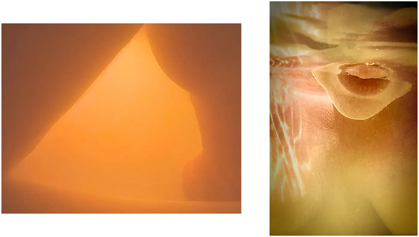 Selected Works, work 12. Provisional image description; final curatorial alt text pending.