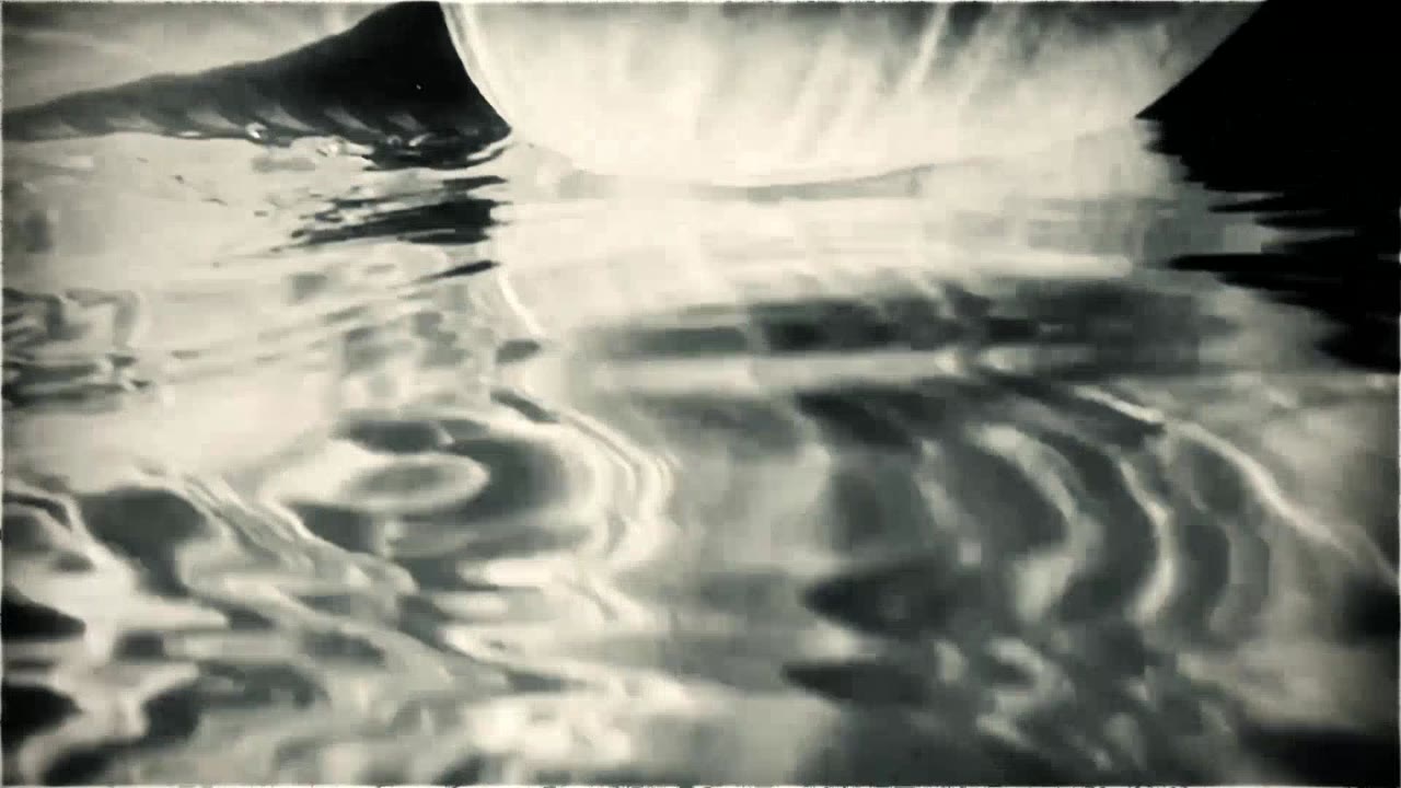 Still from the Body of Water film: the waterline and ripples.
